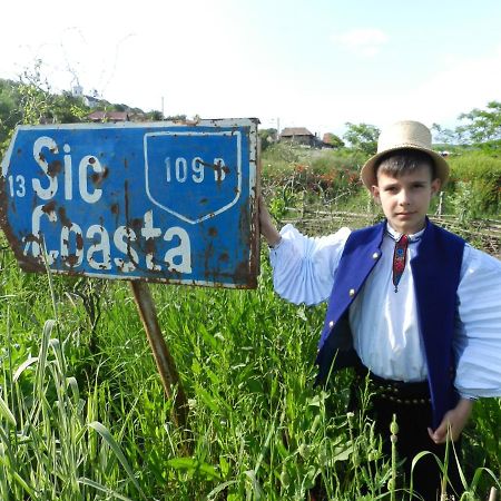 Csipkeszeg Bed & Breakfast Sic / Szek Romania ภายนอก รูปภาพ