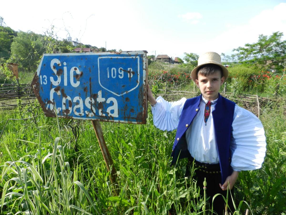 Csipkeszeg Bed & Breakfast Sic / Szek Romania ภายนอก รูปภาพ