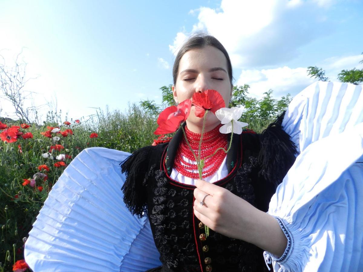 Csipkeszeg Bed & Breakfast Sic / Szek Romania ภายนอก รูปภาพ
