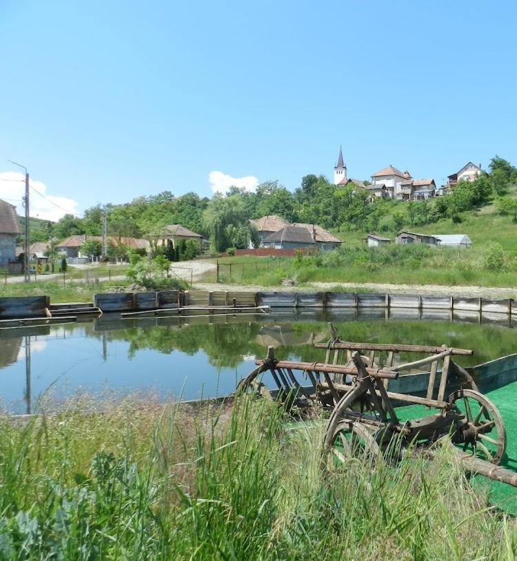 Csipkeszeg Bed & Breakfast Sic / Szek Romania ภายนอก รูปภาพ