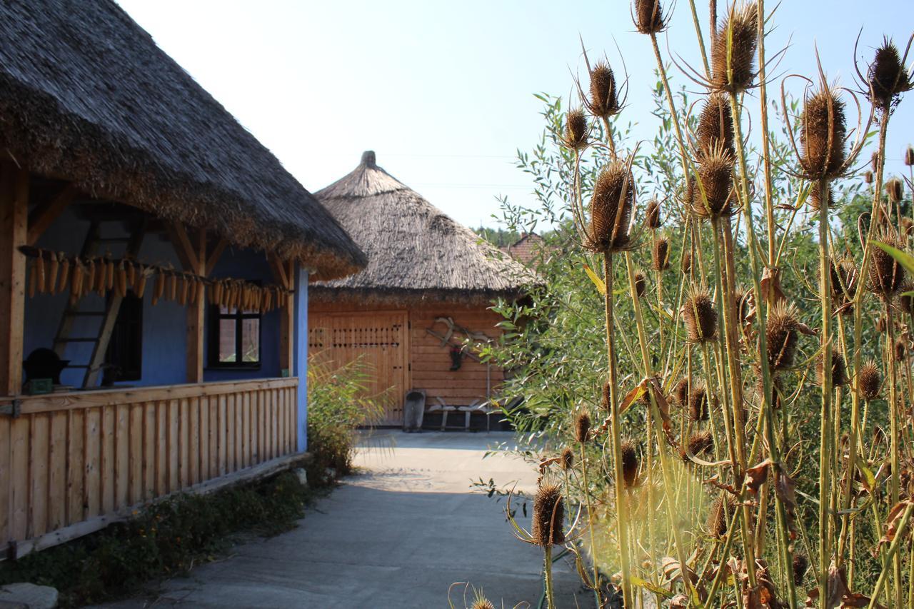 Csipkeszeg Bed & Breakfast Sic / Szek Romania ภายนอก รูปภาพ